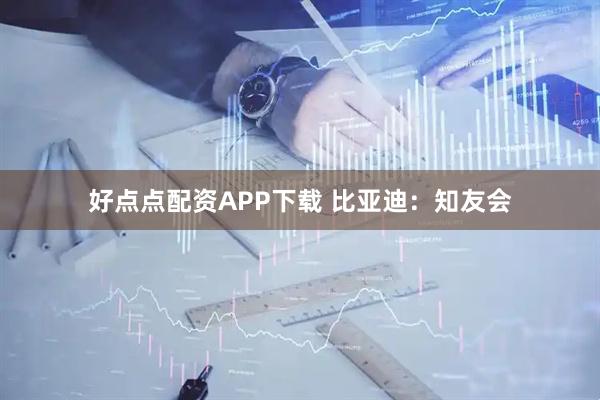 好点点配资APP下载 比亚迪：知友会