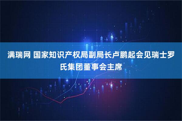 满瑞网 国家知识产权局副局长卢鹏起会见瑞士罗氏集团董事会主席