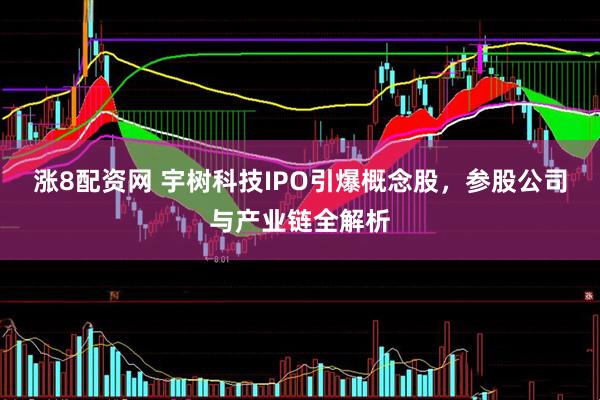涨8配资网 宇树科技IPO引爆概念股，参股公司与产业链全解析